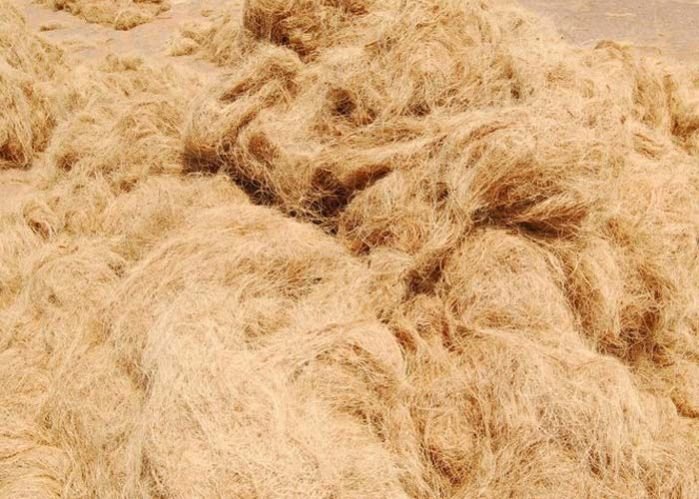 Coir Fiber 02