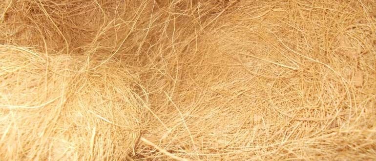 Coir Fiber 03