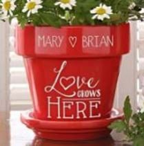 Flower Pot 06