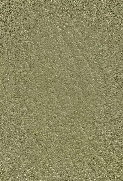 Buff Light Green