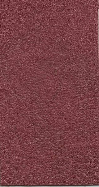 Buff Light (Purple Red)