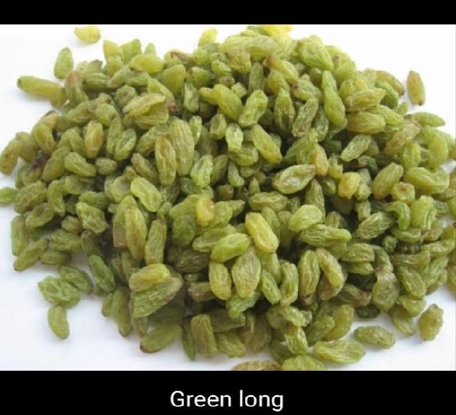 Long Green Raisin 02