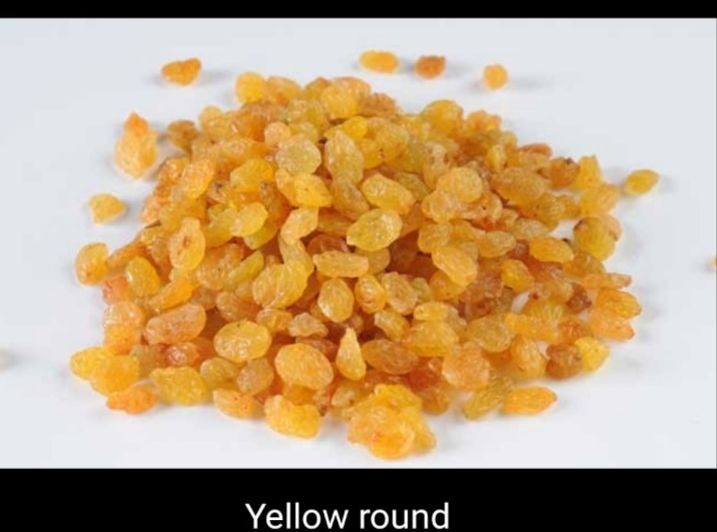 Round Yellow Raisin 01