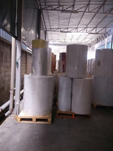 Sticker Paper Rolls 01