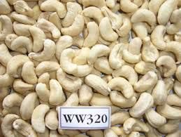 Cashew Kernels 01