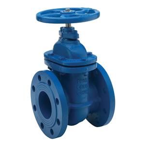 Cast Iron Valve 03