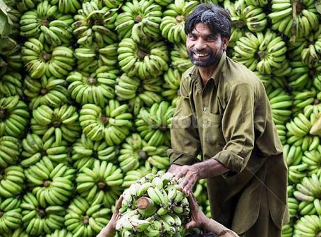 Fresh Green Banana 02