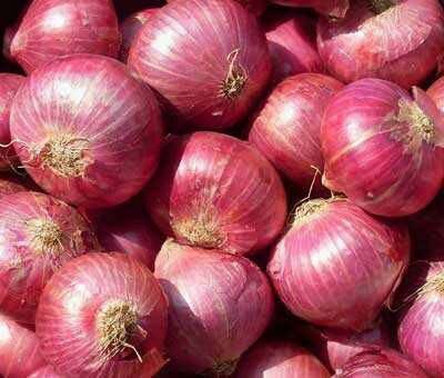 Fresh Onion 01