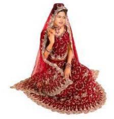 Ladies Lehenga Choli 01