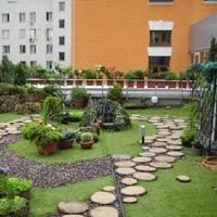 Roof Gardening Service 01