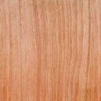 Wooden Flush Doors 01