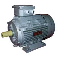 Induction Motor 01