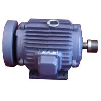 Induction Motor 02