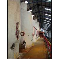 Evaporator Robert Type 