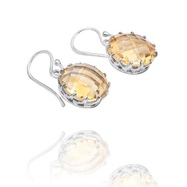 012010550 Silver Gemstone Earrings