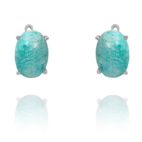 0202020762 Silver Gemstone Earrings