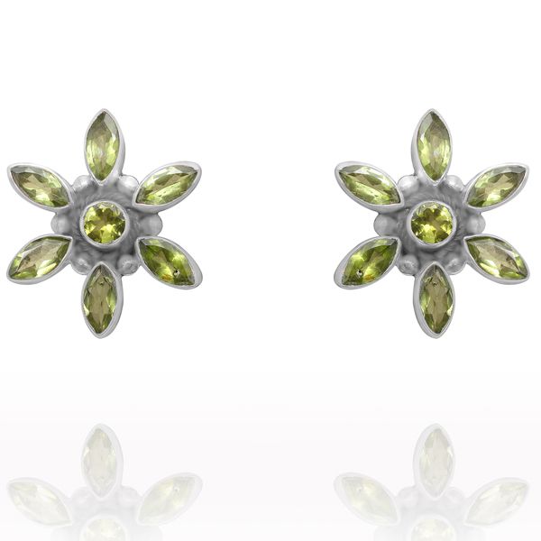 0301011074 Silver Gemstone Earrings