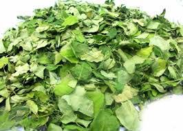Dried Moringa Leaves 01