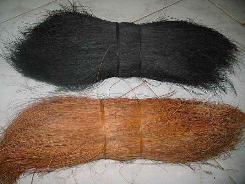 Bristle Fiber 03