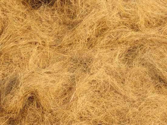 Coir Fiber 02