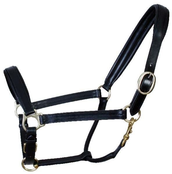 English Horse Halter 01