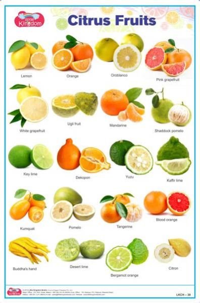 Citrus Fruits Chart
