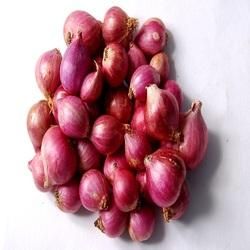 Fresh Red Onion 02