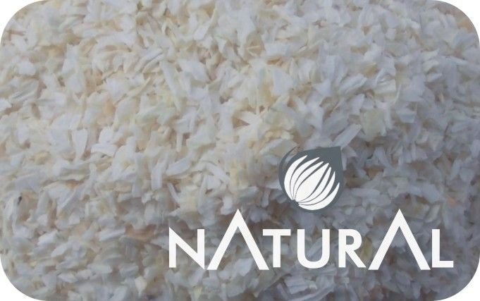 Dehydrated White Onion Minced