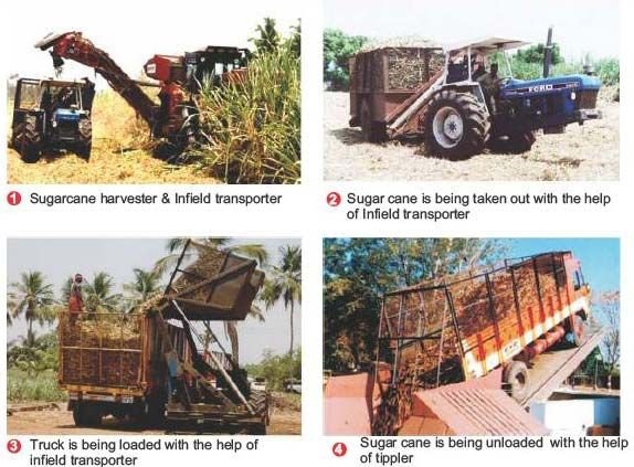 Sugar Cane Harvester 02
