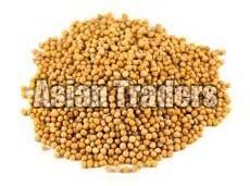Mustard Seeds