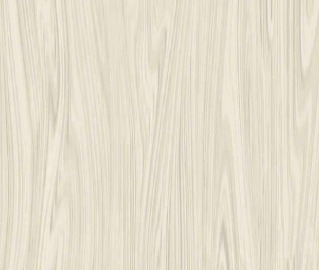 Viva Line Nano Vitrified Floor Tiles