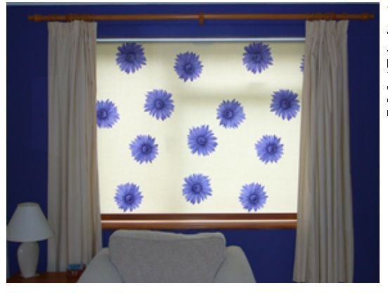 Printed Roller Blind 02