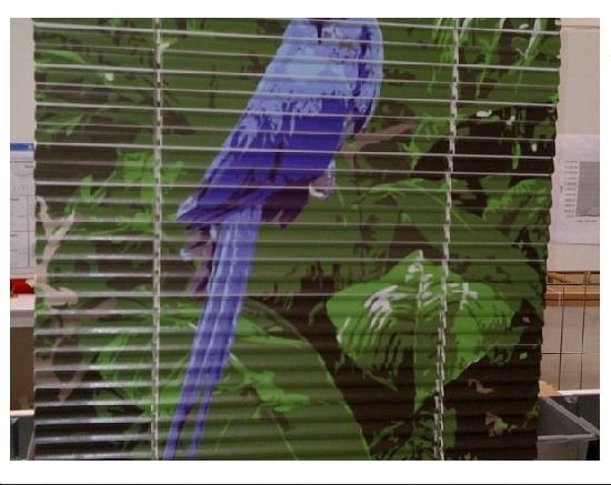 Printed Vertical Blind 02