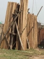 Wooden Balli 02
