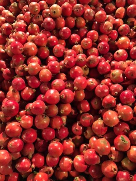 Fresh Pomegranate 05
