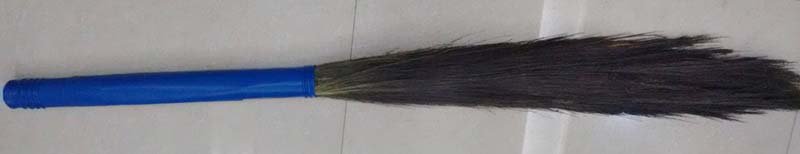Grass Broom 01
