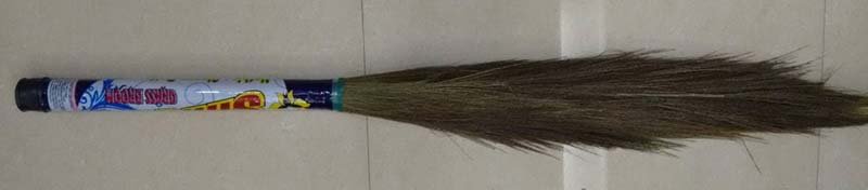 Grass Broom 02