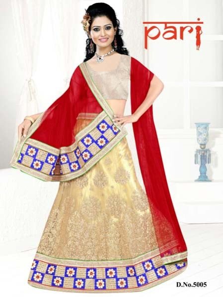 Designer Lehenga Choli (5005)