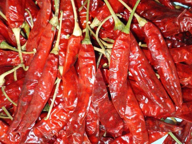 Dried Red Chilli 01