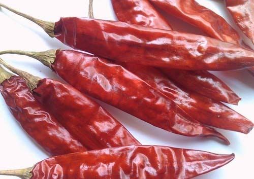 Dried Red Chilli 02