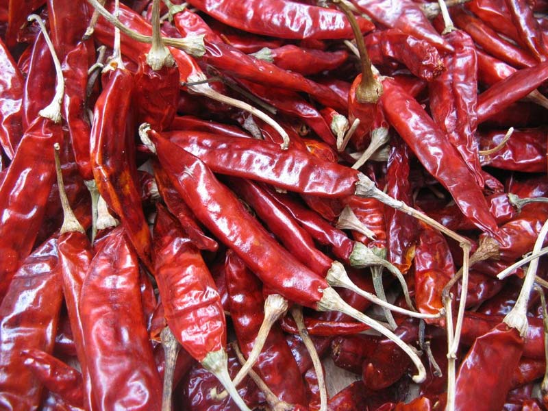 Dried Red Chilli 03