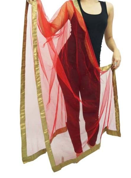 Ladies Net Dupatta 01