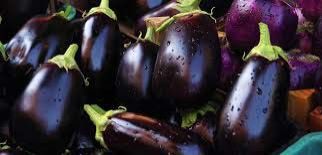 Fresh Brinjal 01