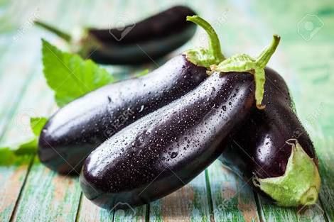 Fresh Brinjal 02