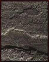 Sagar Black Sandstone 01