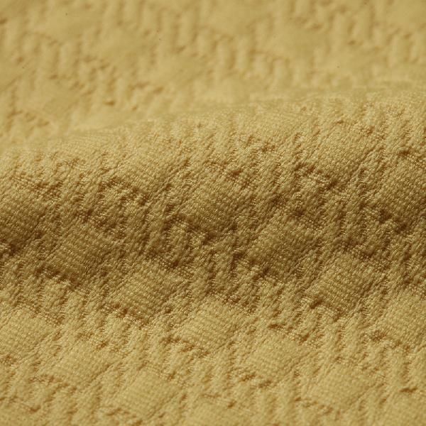 Jacquard Fabric 10