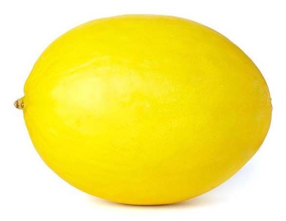 Fresh Yellow Honey Melon