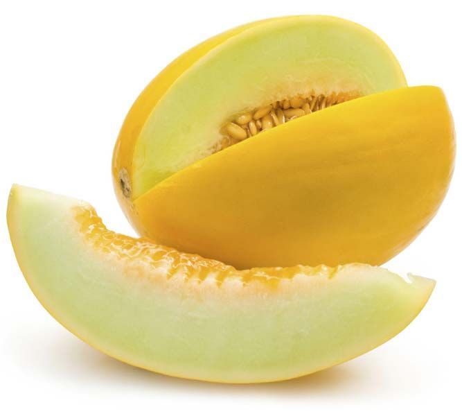 Fresh White Honey Melon