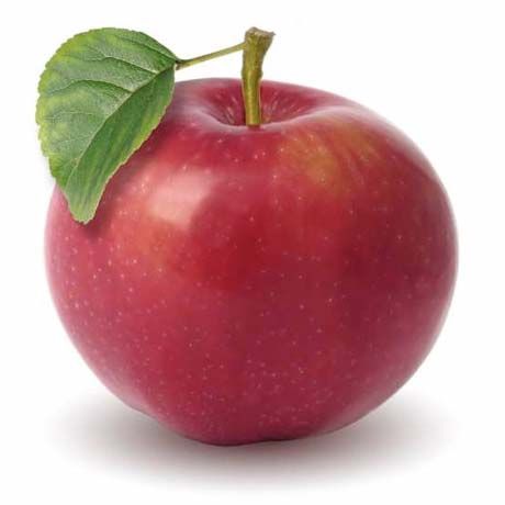 Fresh Apple