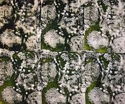 Georgette Printed Viscose Fabric 01